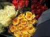  Romba Gifts, Send Flower to Bangalore, Send Cake to Bangalore, Send Gifts to Bangalore. Picture