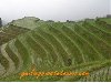 4 days 3 Nights Guilin Rice Terraces Yangshuo Huangyao Tour offer Travel