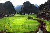 3 Days 2 Nights Yangshuo Longji rice terraces tour offer Travel