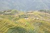 2 days 1 night li river and longji rice terraces tour offer Travel