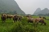 6 days 5 nights Guilin Lijiang old town Tour. Picture