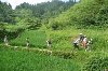 3 Days 2 Nights Rice Terraces Li River hiking tour-guilinprivatetours Picture