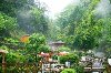 4 Days 3 Nights Rice Terraces Hot Spring Bath Tour-china travel offer Travel