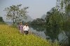 5 Days 4 Nights Yangshuo Longji Rice Terraces Tour-china travel Picture