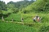 guilinprivatetours -3 Days 2 Nights Rice Terraces Li River hiking tour offer Travel