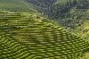 guilinprivatetours -6 days 5 nights Rice Terraces Sanjiang YangshuoTour Picture