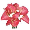 Online Flowers Delivery in India Picture