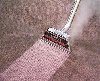 Carpet Steam Cleaning in Melbourne - crazycleaningservices.com.au offer Home Garden