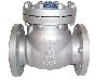 CHECK VALVES IN KOLKATA Picture